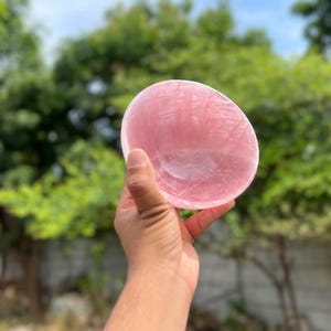 May include: A hand holds a pink, oval-shaped bowl made of a translucent material. The bowl has a smooth surface and a slight indentation in the center. The background is blurred with green foliage.