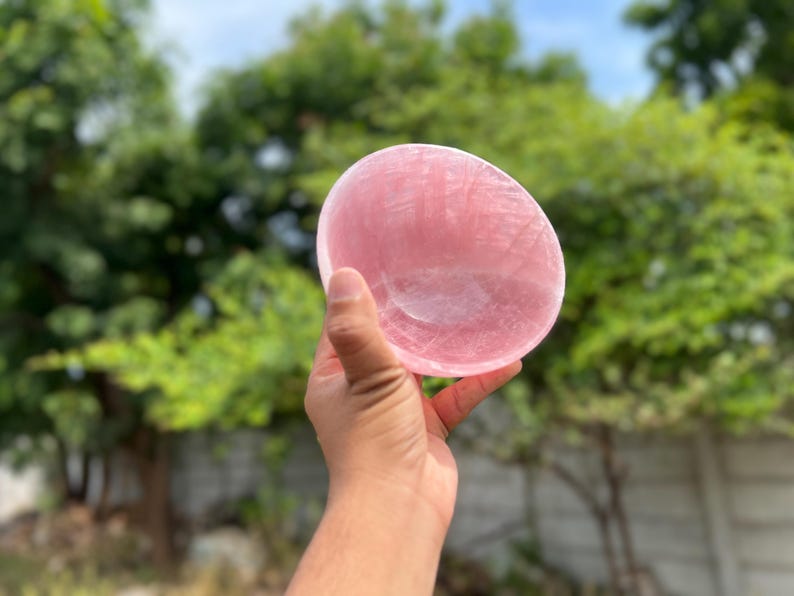 May include: A hand holds a pink, oval-shaped bowl made of a translucent material. The bowl has a smooth surface and a slight indentation in the center. The background is blurred with green foliage.