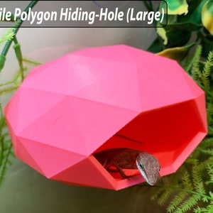 Polygon Hiding Hole (Large) - Gecko Wall Hide - Reptile Decor