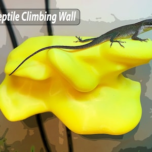 Reptile Climbing Wall - Gecko Wall - Terrarium Decor