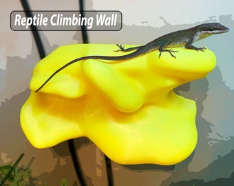Reptile Climbing Wall - Gecko Wall - Terrarium Decor