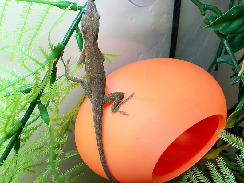 Reptile Wall Hide - Gecko Hiding Hole - Tank Decor image 2