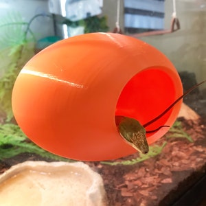May include: A bright orange ceramic egg-shaped reptile hide with a small lizard inside. The hide has a large opening for the lizard to enter and exit.