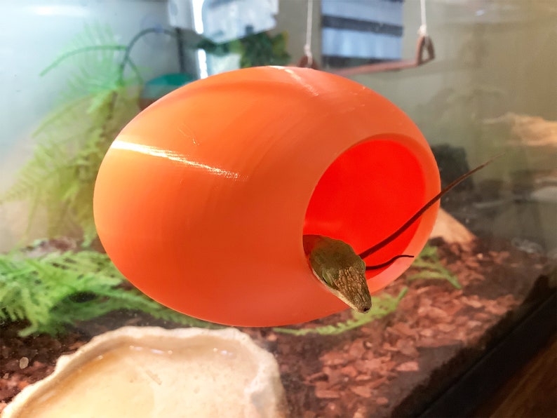May include: A bright orange ceramic egg-shaped reptile hide with a small lizard inside. The hide has a large opening for the lizard to enter and exit.