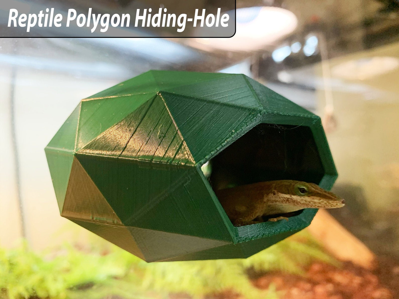 hanging gecko hides hanging gecko hides