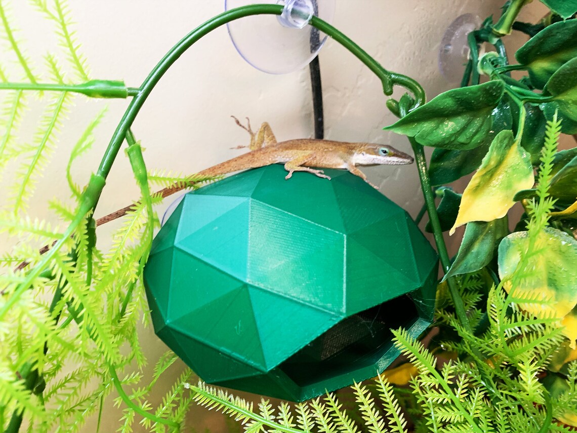 Reptile Hiding Hole Gecko Wall Hide Reptile Decor Etsy