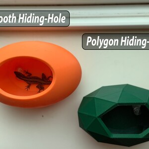 May include: Two hiding holes for small reptiles, one smooth orange and one green with a geometric design. The text "Smooth Hiding-Hole" is above the orange hole and "Polygon Hiding-Hole" is above the green hole.