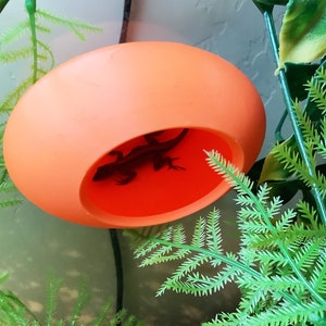May include: A small, orange, plastic, egg-shaped reptile habitat with a small lizard inside.