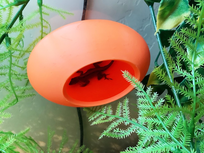 May include: A small, orange, plastic, egg-shaped reptile habitat with a small lizard inside.
