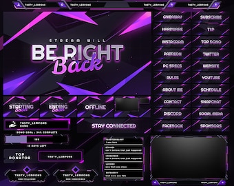 Pink Neon Twitch Overlay Package : Webcam, Screens, Panels, Alerts, Transition and Streamlabs Widgets