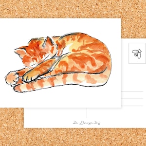 Cartolina Red Tomcat - Gatto addormentato - Regalo per gli amanti dei gatti - Illustrazione disegnata a mano - Quaderno di schizzi - Animali - Gatti - Animali domestici