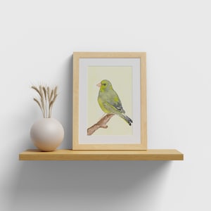 Kunstdruck, Postkarte, Dekoration, Vögel, Grünfink, Aquarell, Lineart, Geschenk, Grußkarte