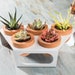 see more listings in the Planters section