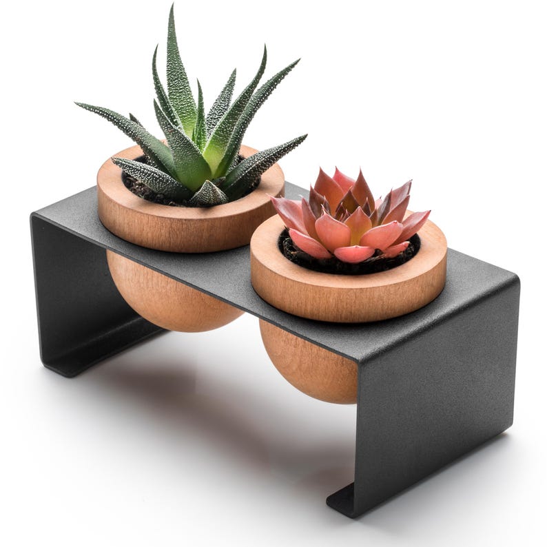Puede incluir: Dos macetas de madera para suculentas con suculentas verdes y rojas, sentadas sobre un soporte de metal negro.