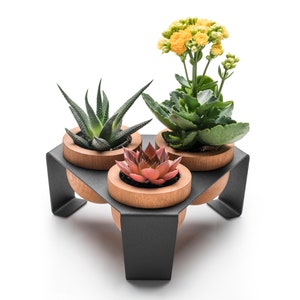 Sukkulenten Übertopf, Set aus 3 Holztöpfen mit Metallständer, Schwarz, Indoor-Übertopf mit Tray, Kaktus-Töpfe für Tisch, Regal und Fensterbank