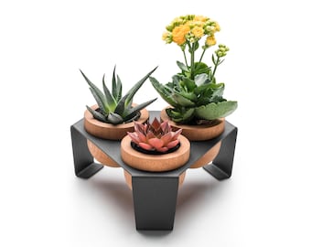 Succulent Planter, Set of Three Wooden Pots with Metal Stand, Black, Indoor Planter with Tray, Cactus Pots for Table, Shelf and Windowsill