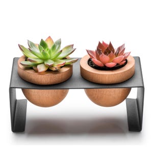 Puede incluir: Dos macetas de madera para suculentas con suculentas verdes y rojas, sentadas sobre un soporte de metal negro.