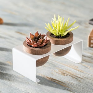Sukkulenten Pflanzgefäß 2er Set, Holztöpfe mit Metallständer, Weiß, Zimmerpflanzer mit Tablett, Kaktus Töpfe für Tisch, Regal und Fensterbank