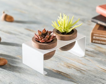 Succulent Planter Set of Two, Wooden Pots with Metal Stand, White, Indoor Planter with Tray, Cactus Pots for Table, Shelf and Windowsill