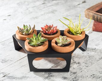 Succulent Planter Set of Five, Wooden Pots with Metal Stand, Black, Indoor Planter with Tray, Cactus Pots for Table, Shelf and Windowsill