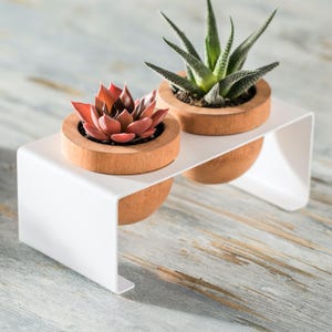 Moderner Sukkulenten-Übertopf aus Holz, Holz-Pflanzentopf mit Weißmetallständer, minimalistisches Zuhause, Bürodekor, Pflanzenhalter für Schreibtisch, Pflanzendisplay