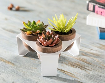 Succulent Planter Set of Three, Wooden Pots with Metal Stand, White, Indoor Planter with Tray, Cactus Pots for Table, Shelf and Windowsill