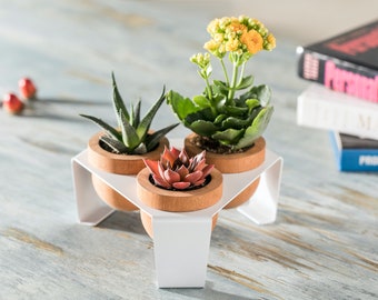 Mini Planter, 3 Wooden Pots with Metal Stand, White, Succulent Planter with Tray, Cactus Pots for Table, Shelf and Windowsill