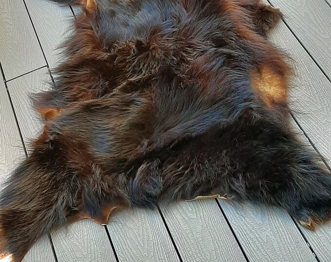 Authentic Real Bear Skin Rug. Black Bear Rug. Canadian Black Bear Rug. Genuine.taxidermy.oddity