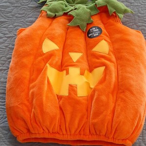 Kids Jack O' Lantern Halloween Costume - Orange Pumpkin Tunic With Leaf Hat, Size Large (12-14) - View #9