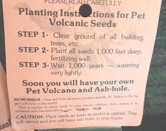 Mt. St. Helen&#39;s Baby pet volcanic seeds  Buy a piece of history Unique Authentic Novelty Volcanic ash Novelty ash  Gag gift  Historic ash