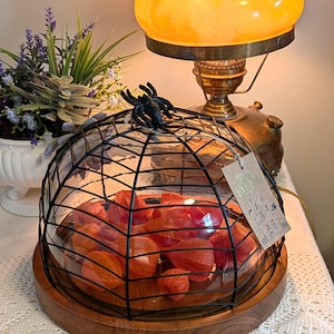 Könnte beinhalten: Eine Glaskuppel mit einem schwarzen Metallrahmen in Spinnennetzoptik und einer schwarzen Spinnenfigur obenauf, die auf einem runden Holzsockel steht. Im Inneren der Kuppel befinden sich orangefarbene Physalis-Hüllen. Ein Pappanhänger ist befestigt.