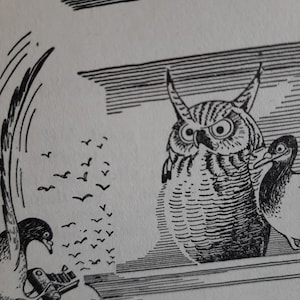 Arte del libro d'epoca "Immagine perfetta" Illustrazione originale da un libro d'epoca sconosciuto Cartolina fotografica d'epoca con cornice/libro Originale e non una copia