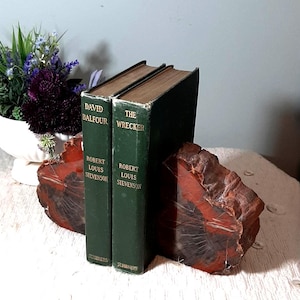 Echte versteinertes Holz Buchstützen Türstopper 220 Millionen Jahre altes versteinertes Holz Versteinertes Holz Buchstützen Polierte versteinertes Holz Buchstützen