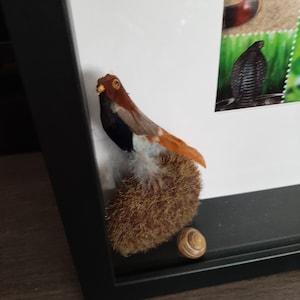 Moving snake picture Snake lenticular [agamograph] print Taken from a modern nature book  Shadowbox Feather bird Moss covered stone