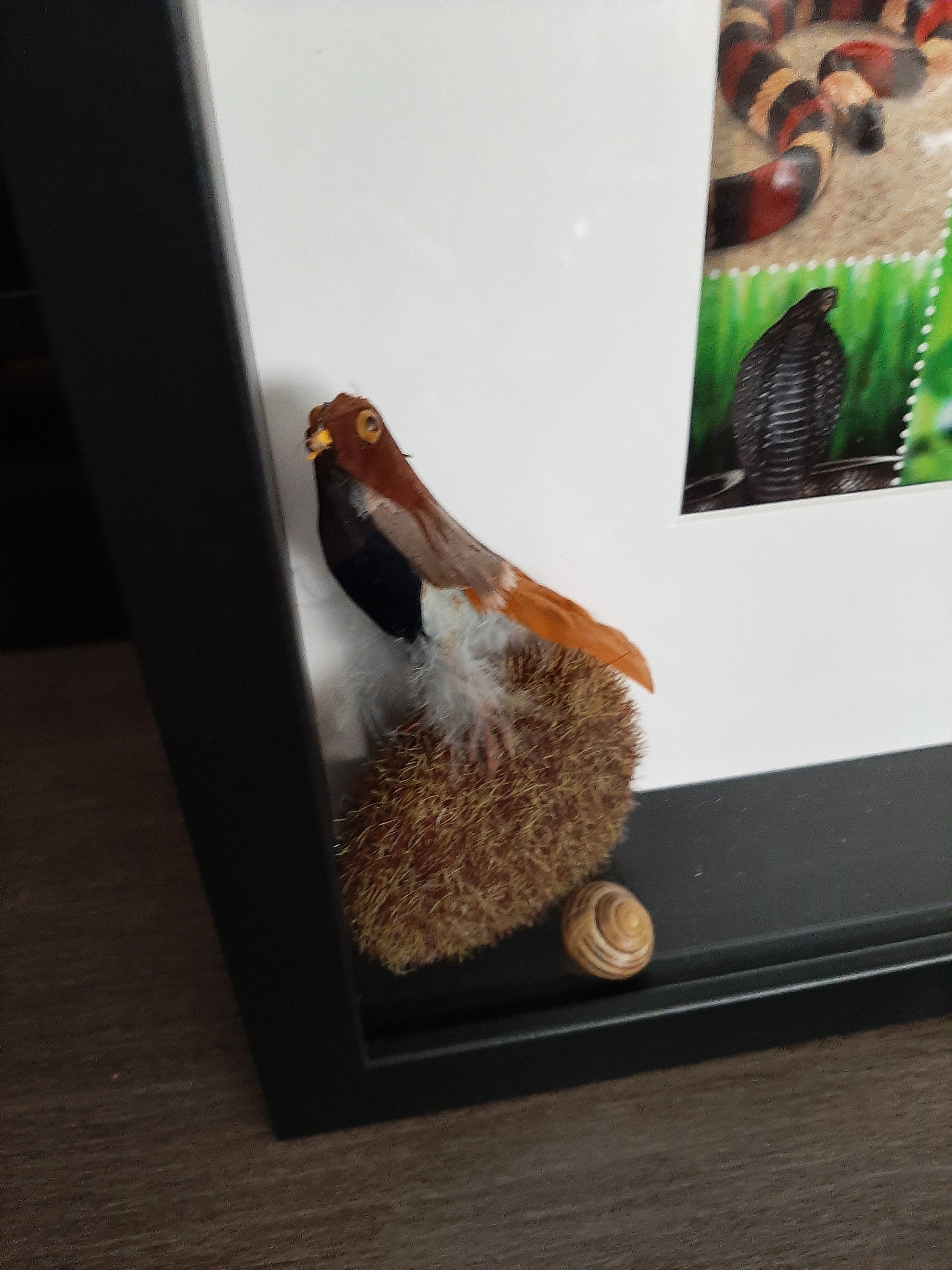 Moving snake picture Snake lenticular [agamograph] print Taken from a modern nature book  Shadowbox Feather bird Moss covered stone