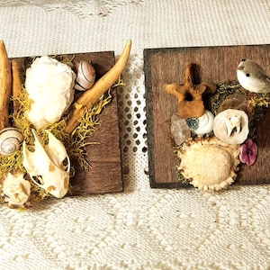 Pode incluir: Duas placas de madeira com elementos naturais. Uma apresenta chifres, um crânio, conchas e musgo. A outra tem um pássaro, osso, conchas, cristais e uma flor. Ambas estão sobre uma superfície de renda branca.