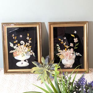 Könnte beinhalten: Zwei rechteckige goldfarbene Rahmen mit schwarzem Samthintergrund und dreidimensionalen Blumenarrangements aus Muscheln. Jedes Bild zeigt eine weiße Muschelvase, die mit verschiedenen kleinen Muscheln in Form von Blumen und Blättern gefüllt ist.