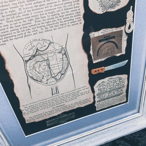 Authentic Surgical Needle & Abdominal Organs Grey&#39;s Anatomy Picture Frame Wall art Upcycled Oddity Rare Weird Gothic  Medical  Vintage Weird