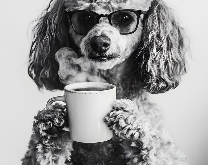 Poodle Drinking Coffee Wall Art Print: Funny Dog Gift, Dogs Drinking Poster Framed or Print Only. FREE DELIVERY
