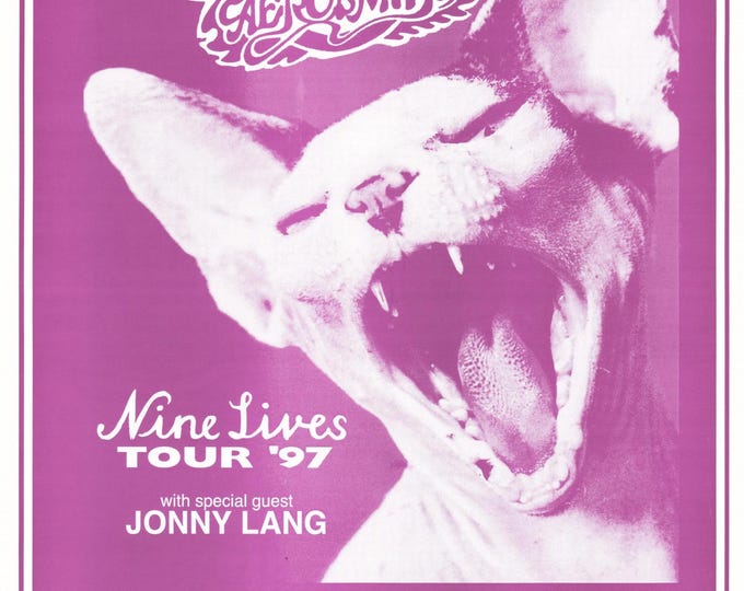 AEROSMITH Poster Print Wall Art - Vintage Rock Memorabilia