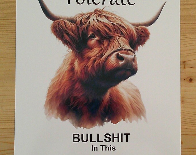 Funny Highland Cow Art Print, Bathroom Decor, A4/A3 (Framed Option)