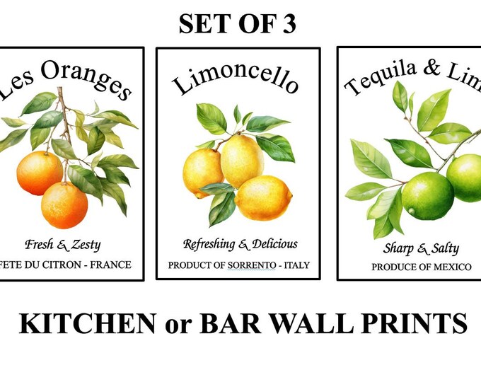Citrus Fruit Prints, Funny Kitchen Bar Wall Decor, Set of 3