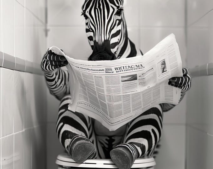 Zebra on Toilet Photo Print - Funny Bathroom Wall Art
