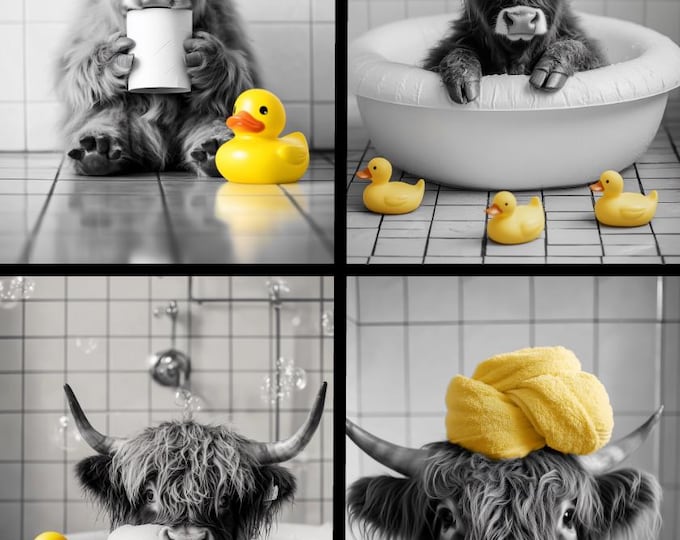 Funny Highland Cow Bathroom Art Print, Farmhouse Animal Decor