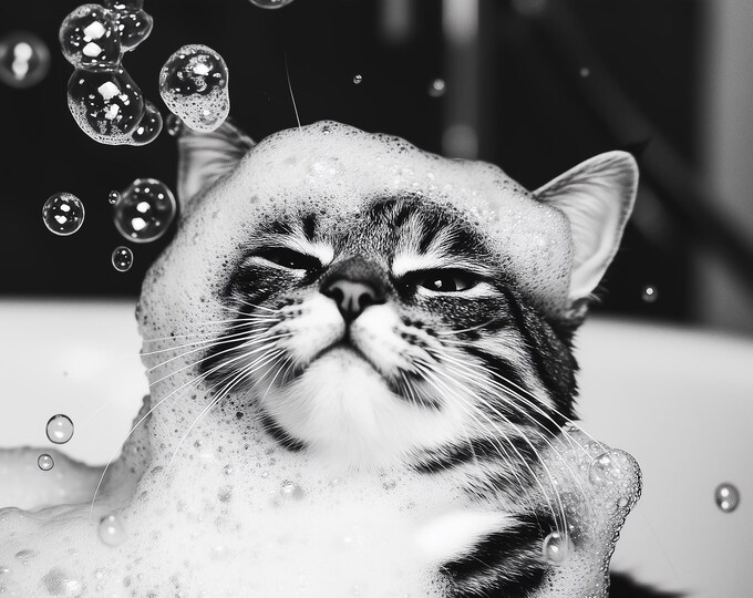 Funny Cat in Tub Satin Print, Bathroom Wall Art