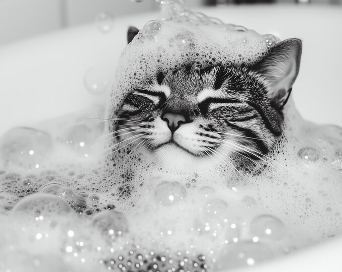Fun Cat in the Bath Tub Print, Bathroom Wall Art