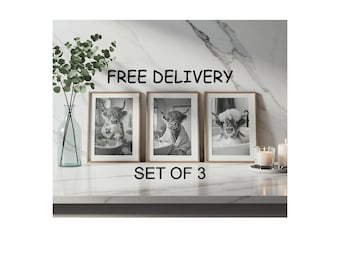 Highland Cow Set of 3 Bathroom Watercolour Wall Poster Prints