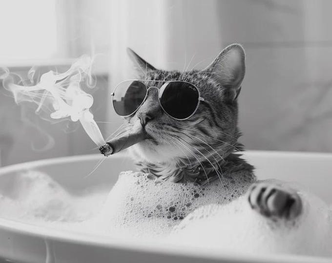 Fun Cat Taking a Soak in the Bath Smoking a Cigar Print, Bathroom Wall Art