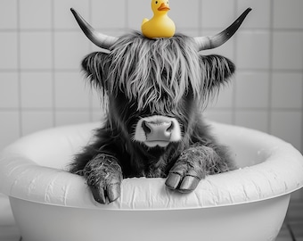 Highland Cow Bath Print | Funny Bathroom Animal Wall Art