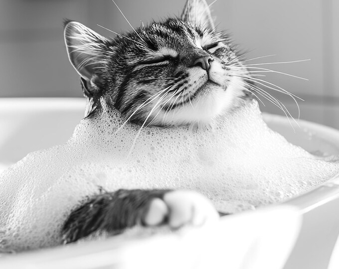 Funny Cat in Tub Satin Print, Bathroom Wall Art